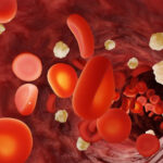 "Disciplína nezačíná v hlavě, ale v krvi." Proč byste se zajímali o svoji hladinu krevního cukru? „Disciplína nezačíná v hlavě, ale v krvi