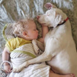 Týrané štěně, které se učilo znovu věřit: Fenka Nora našla lásku u malého chlapce